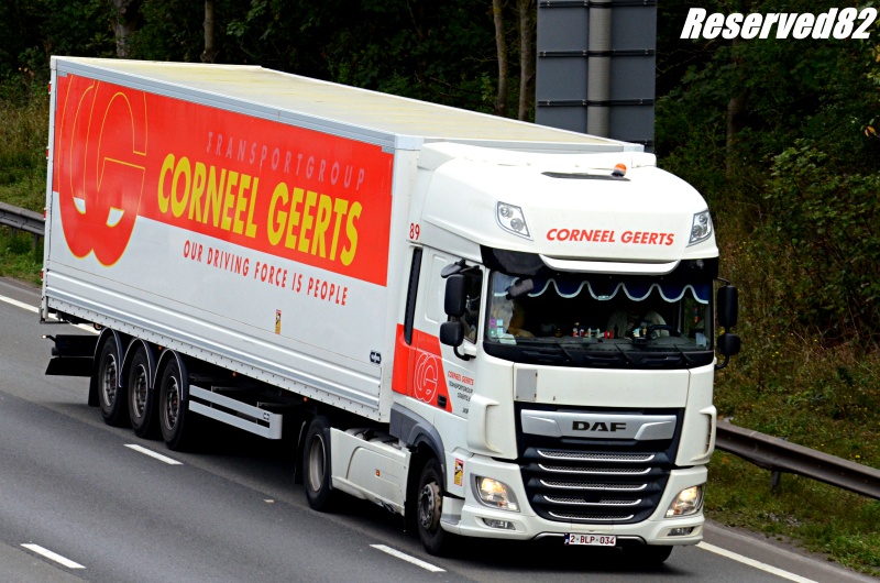 DSC_8715.JPG Corneel Geerts.JPG