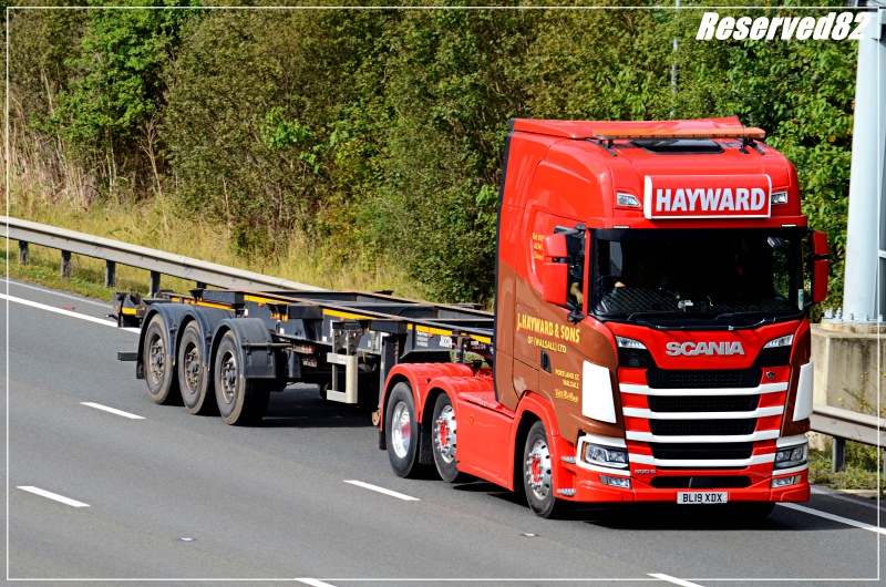 DSC_0149.JPG Hayward.JPG