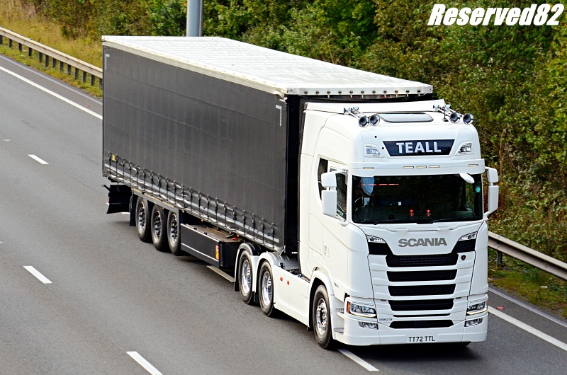 DSC_1590.JPG Teall.JPG