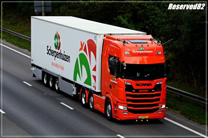 DSC_8063.JPG Scherpen.JPG