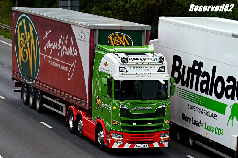 DSC_7912.JPG Fagan.JPG