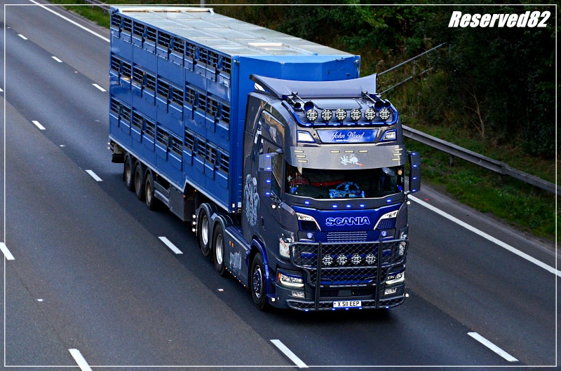 DSC_3084.JPG Joohn wood.JPG