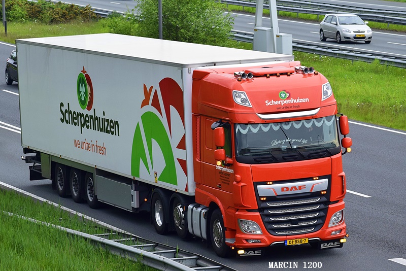 _DSC3967-crop-Scherpenhuizen-DAF XF106 II.JPG