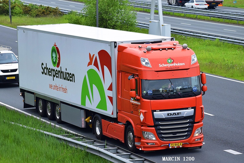 _DSC4055-crop-DAF XF106-Scherpenhuizen.JPG