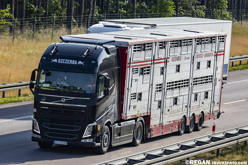 Volvo FH4 - Szczerba.jpg