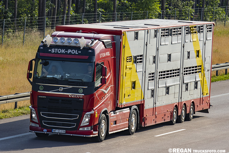 Volvo FH4 Stok-Pol.jpg
