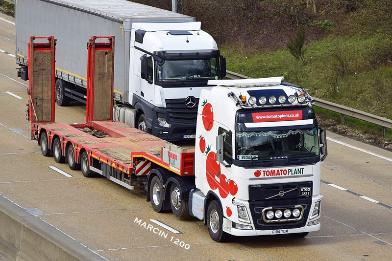 _DSC5216-crop-Tomato Plant-Volvo FH IV.JPG
