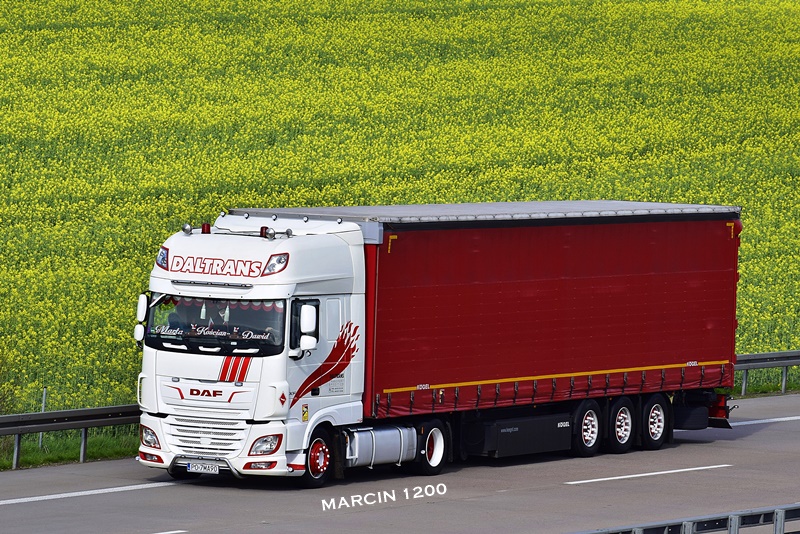 _DSC2347-crop-DALTRANS-DAF XF 106 II.JPG