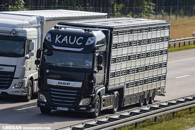 DAF XF Kauc.jpg