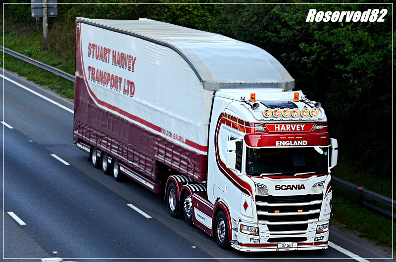 DSC_5558.JPG Harvey.JPG