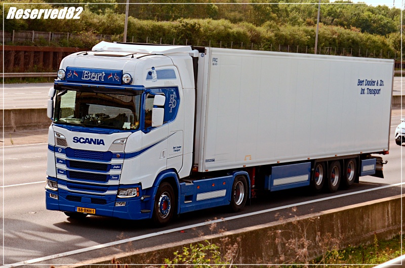 DSC_8917.JPG Bert.JPG