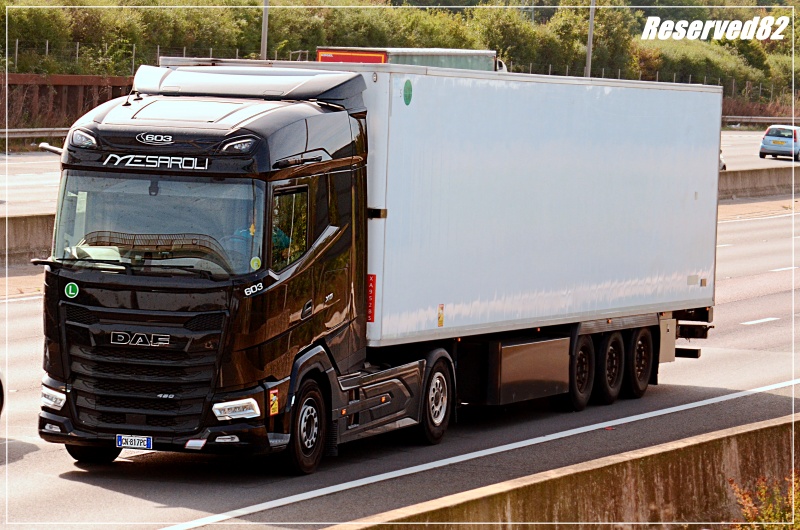 DSC_9158.JPG Mesaroli.JPG