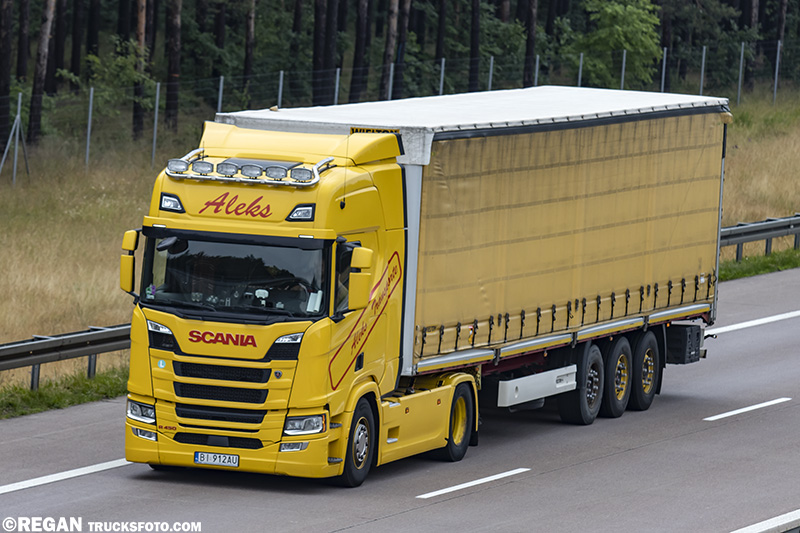 Scania R450 Aleks.jpg