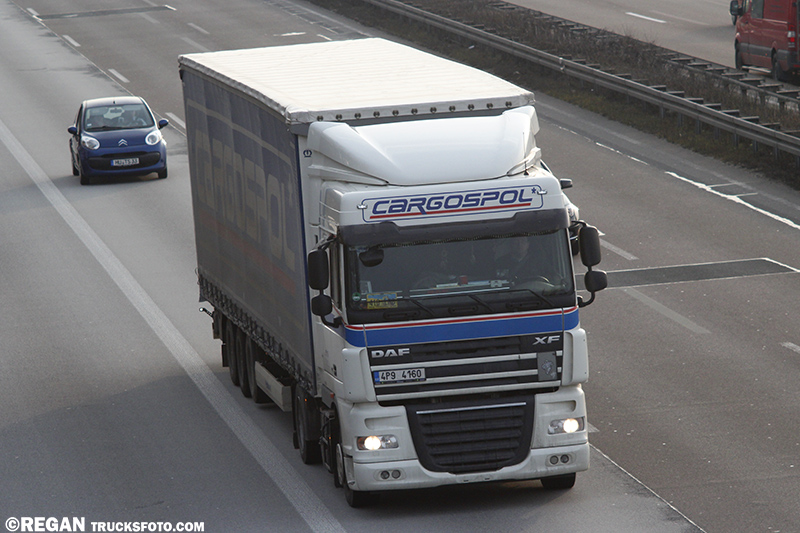 Daf XF105 Cargospol.jpg