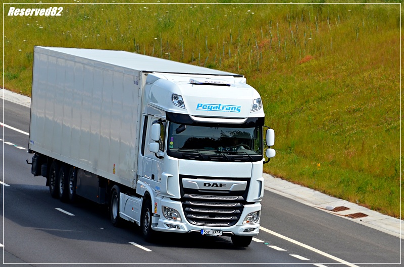 DSC_9522.JPG Pegatrans.JPG