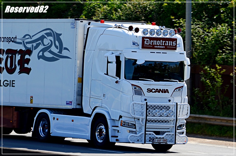 DSC_6723.JPG Denotrans.JPG