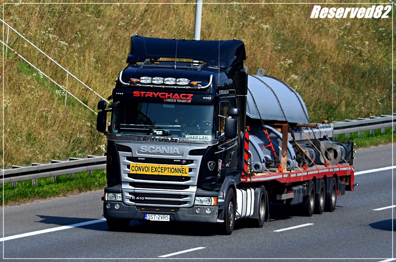 DSC_2366.JPG Strychacz.JPG