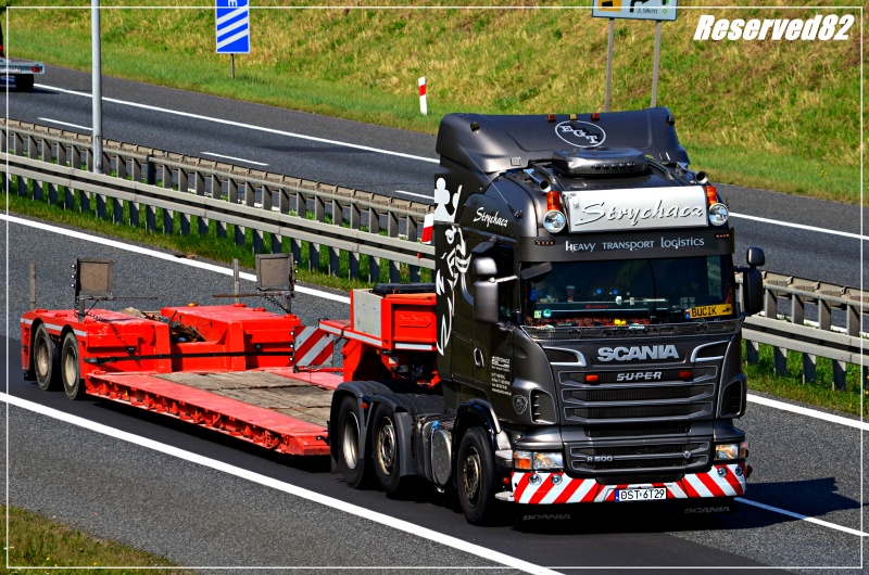 DSC_9062.JPG Strychacz.JPG