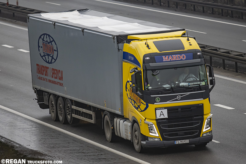 Volvo FH4 - Mardo.jpg