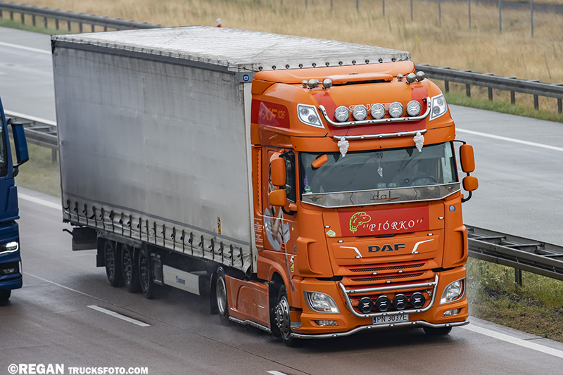 DAF XF116 - Piórko.jpg