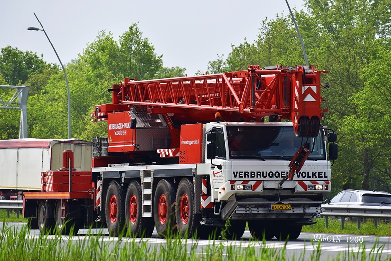 _DSC3200-crop-FAUN-Verbruggen-Volkel.JPG