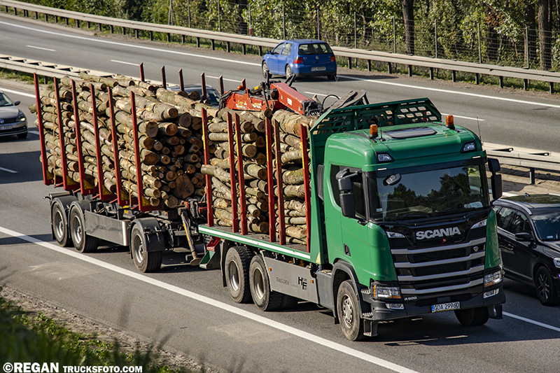 Scania R500 Trans Drew.jpg