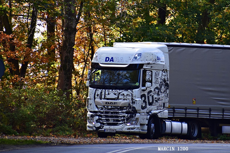 _DSC7340-crop-DARA-DAF XF 106 II.JPG