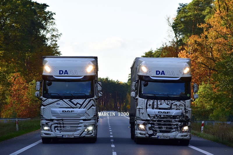 _DSC7458-crop-DARA-DAF XF106II.JPG