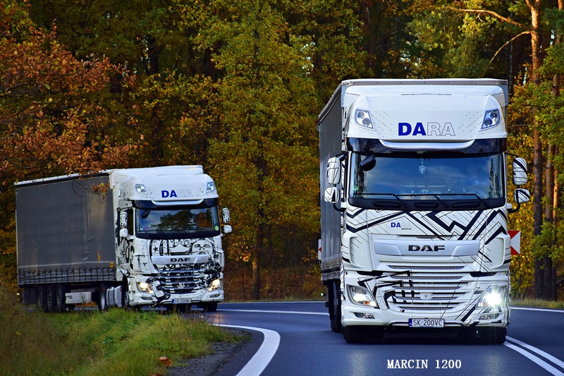 _DSC7487-crop-DARA-DAF XF106II.JPG
