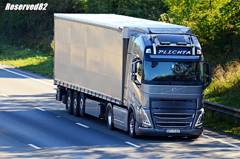 DSC_4739.JPG Plichta.JPG