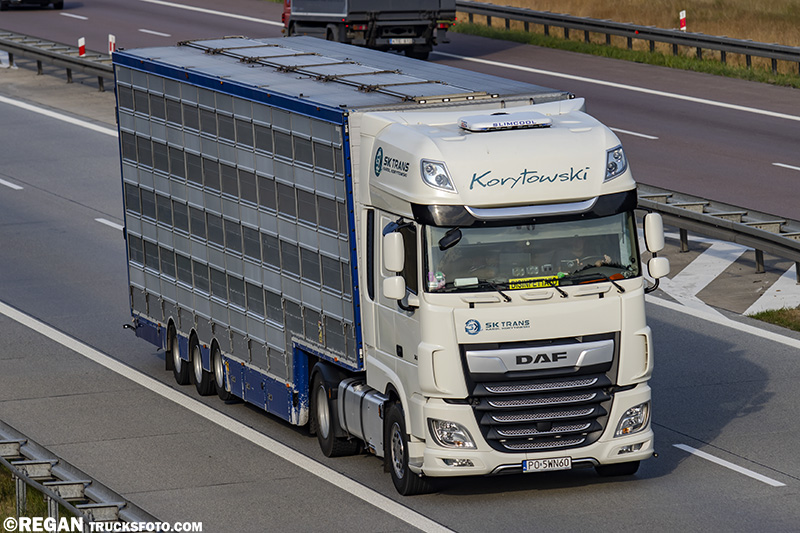 DAF XF116 Korytowski.jpg