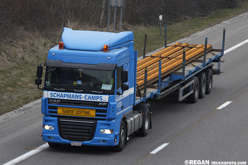 DAF XF105 - Schapmans Camps.jpg