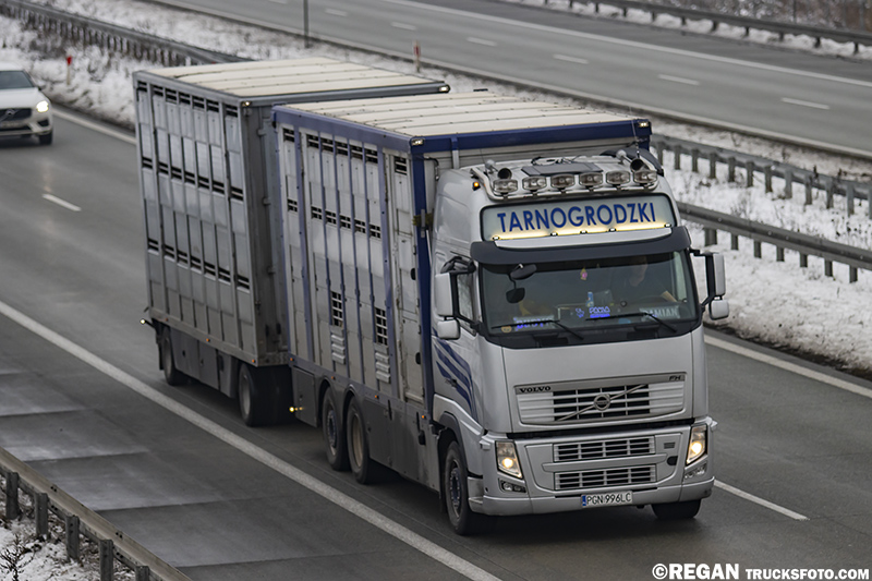 Volvo FH3 - Tarnogrodzki.jpg