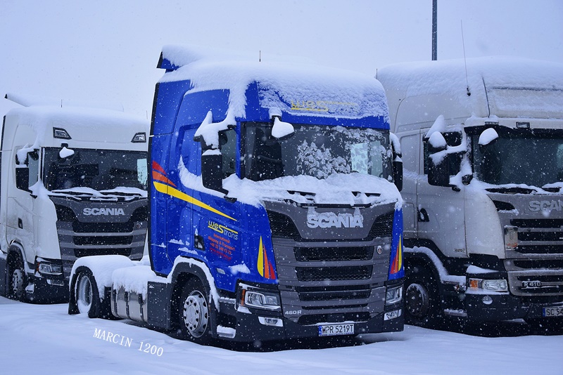 _DSC8326-crop-WESTRANS-SCANIA R460 NG.JPG