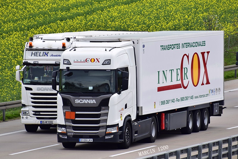_DSC1551-crop-Inter-Cox-SCANIA S NG.JPG