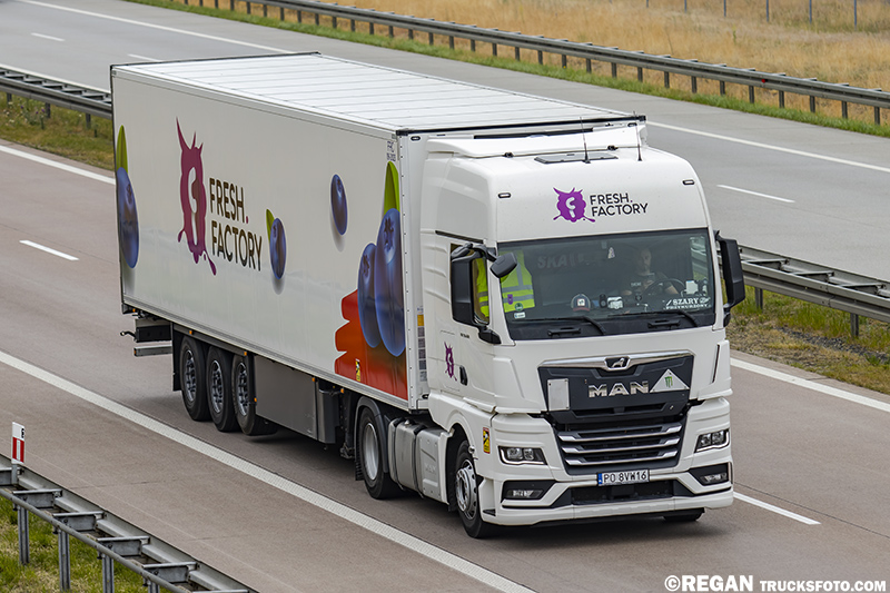 MAN TGX II - Fresh Factory.jpg