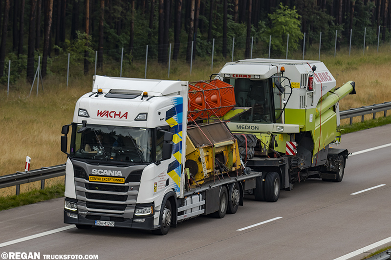Scania R450 - Wacha.jpg