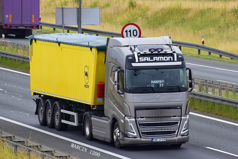 _DSC4821-crop-Salamon-VOLVO FH V.JPG