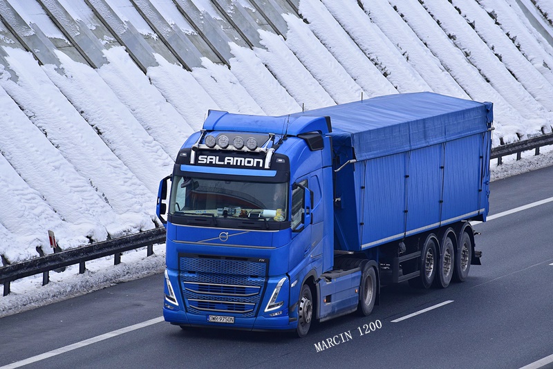 _DSC8489-crop-Salamon-VOLVO FH V.JPG