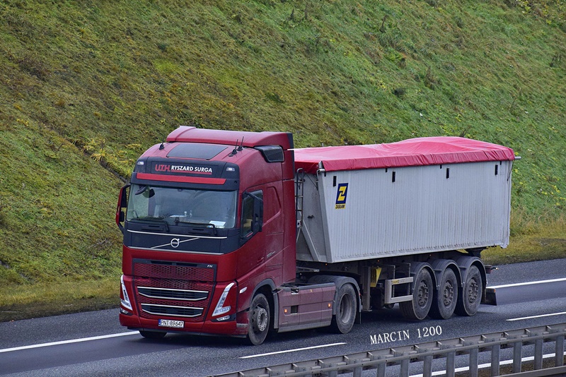 _DSC8764-crop-Surga-VOLVO FH V.JPG