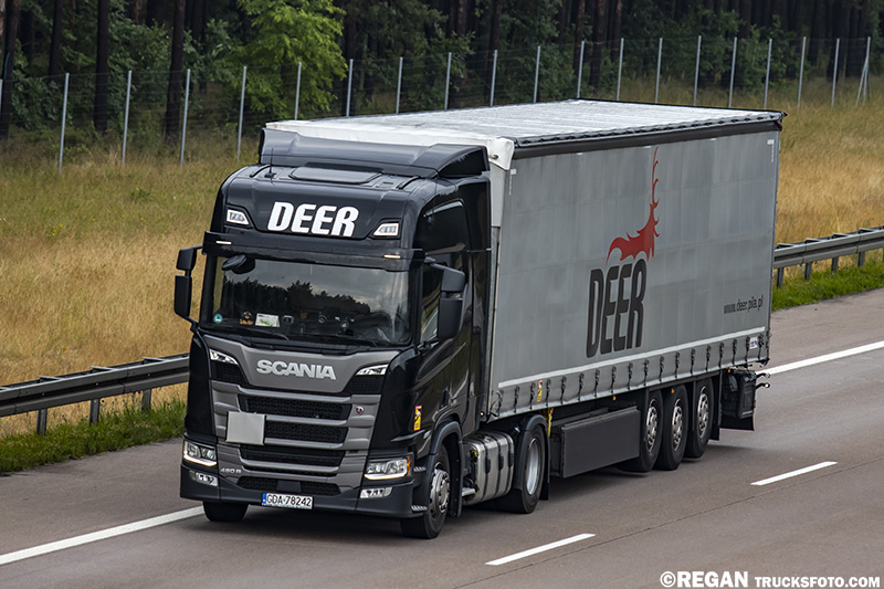 Scania 460R Super - Deer.jpg