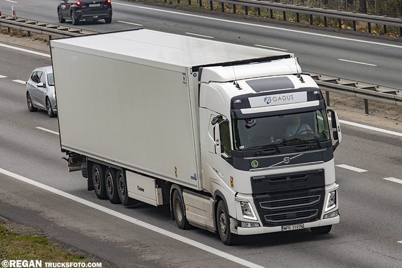 Volvo FH4 - Gadus.jpg