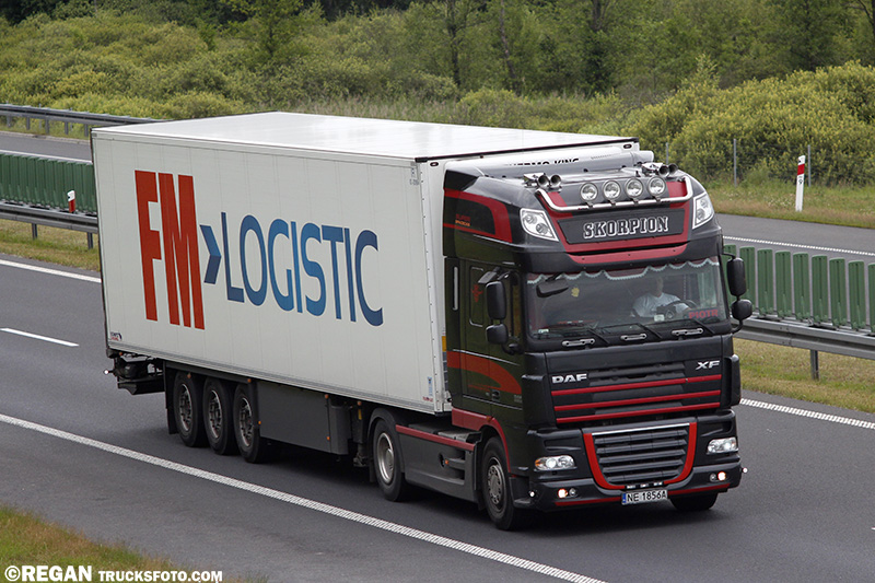 DAF XF105 - Skorpion.jpg