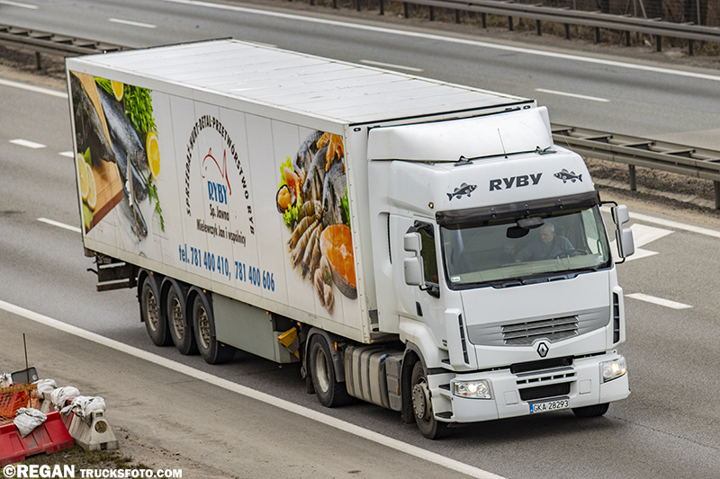 Renault Premium II - Ryby Mielewczyk Kartuzy.jpg