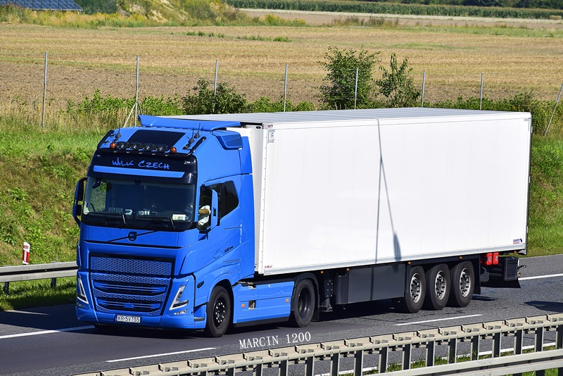 _DSC6464-crop-WILK CZECH-VOLVO FH V.JPG