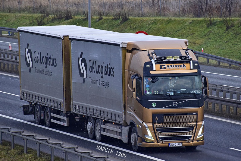 _DSC8703-crop-GĄSIOREK-VOLVO FH V.JPG