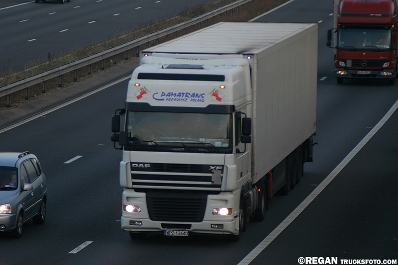 DAF XF95 - Pamatrans.jpg