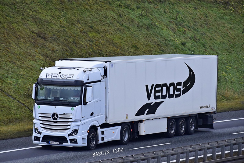 _DSC8757-crop-VEDOS-Mercedes-Benz ActrosL MP5.JPG