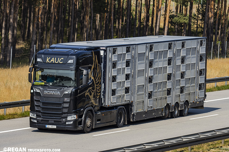 Scania 650S V8 - Kauc.jpg