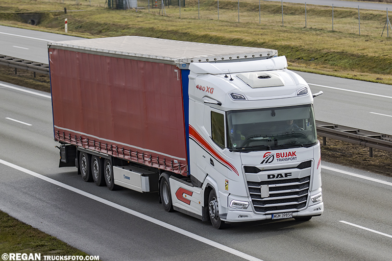 DAF XG - Bujak Transport.jpg